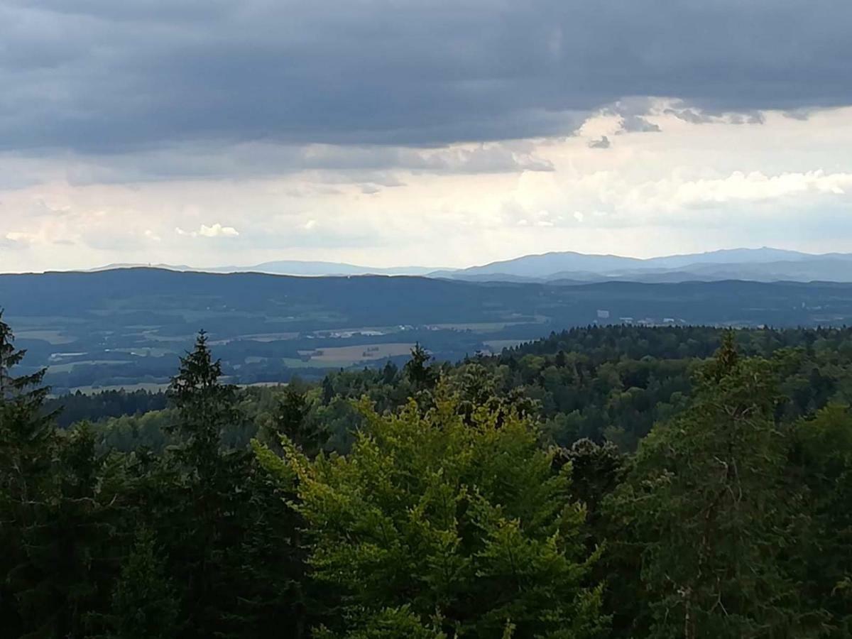 Apartmán Novohradské hory - pronájem na samotě u lesa Benesov nad Cernou Exteriér fotografie