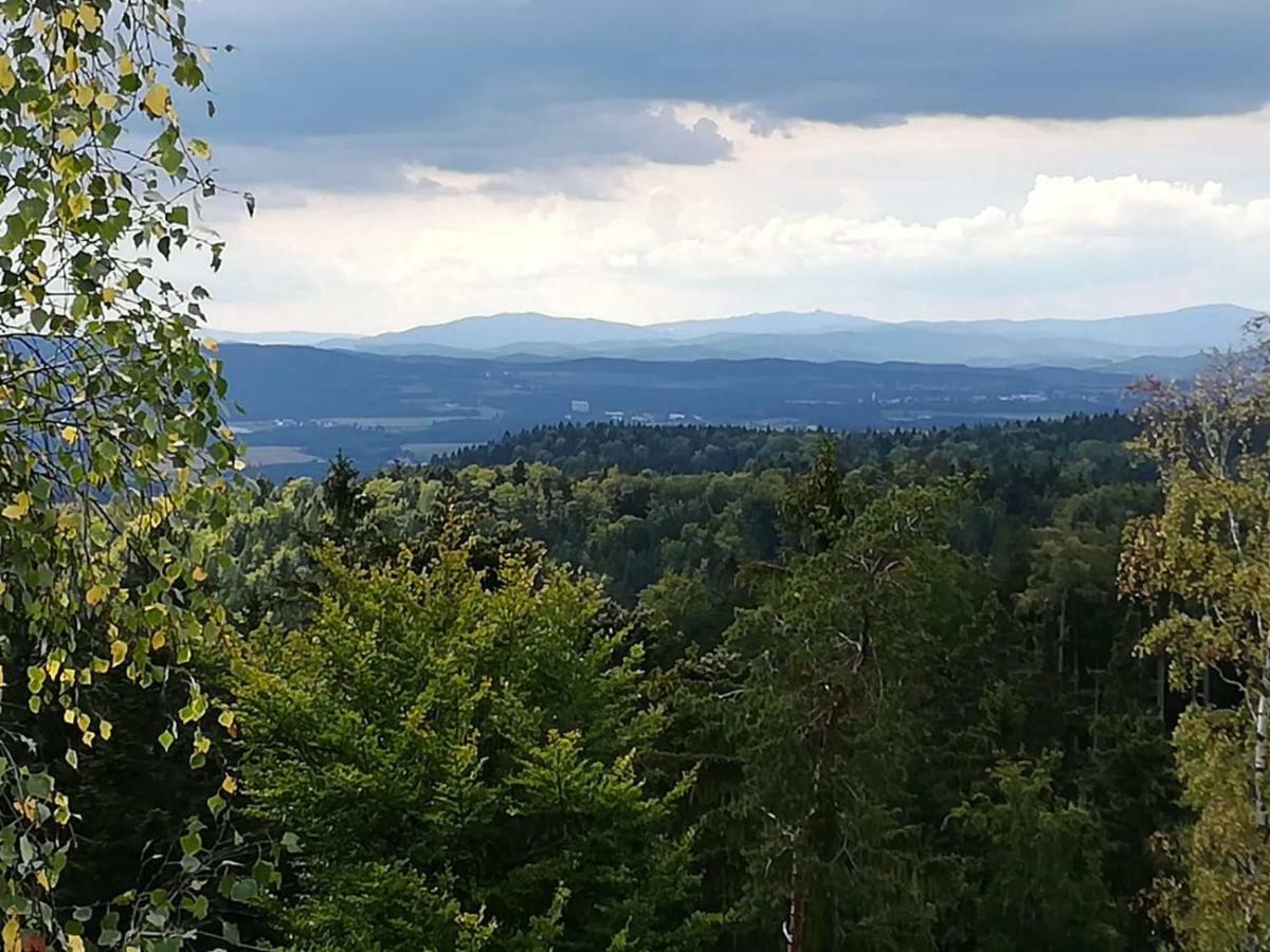 Apartmán Novohradské hory - pronájem na samotě u lesa Benesov nad Cernou Exteriér fotografie